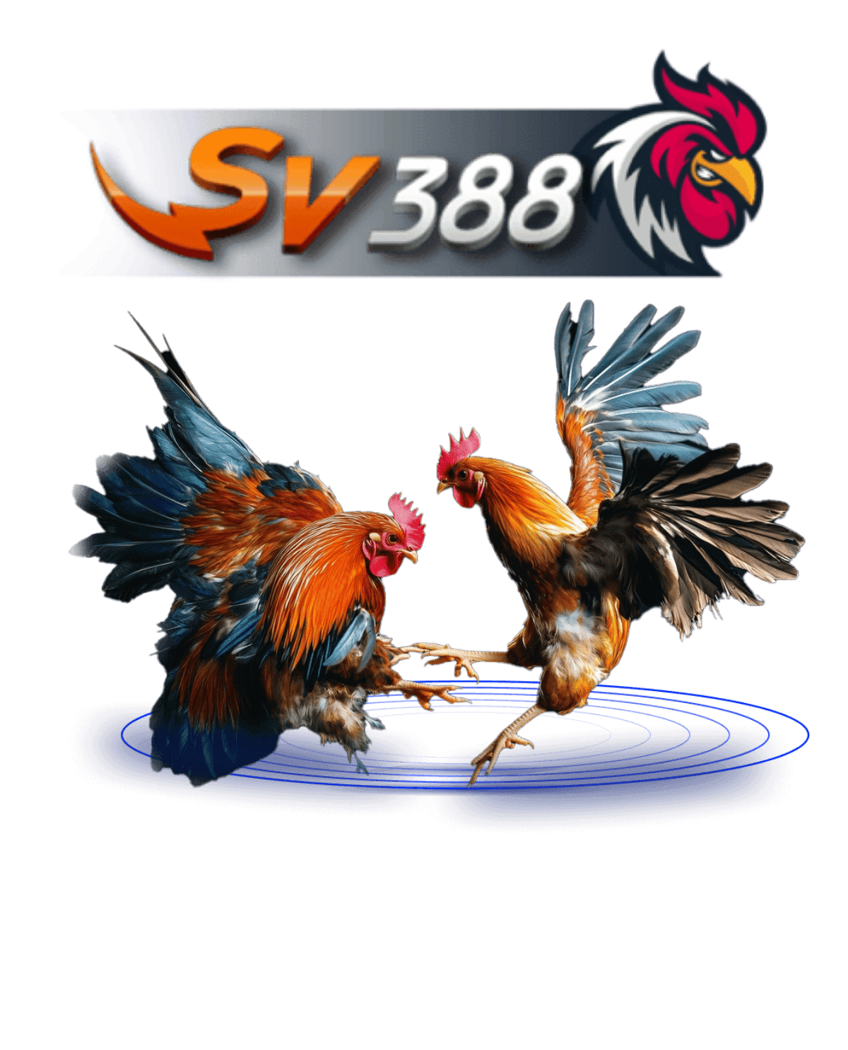 SV388 Cockfighting